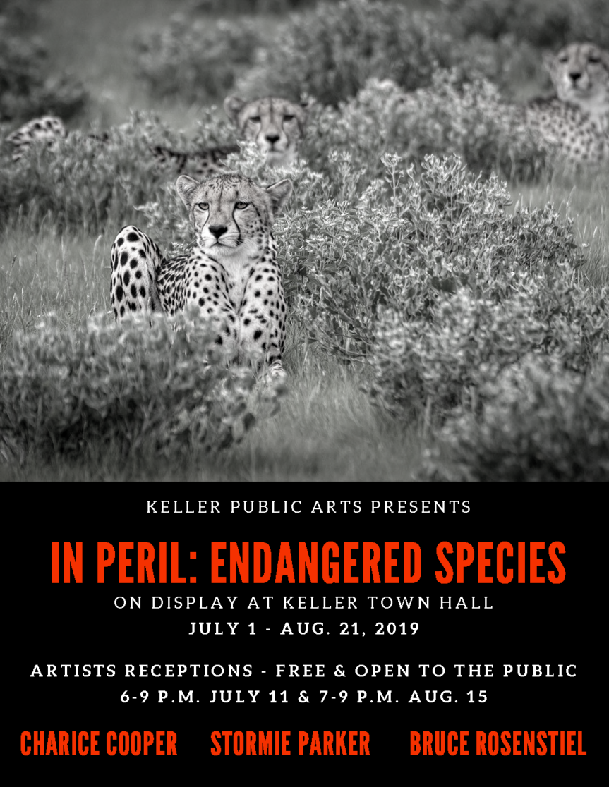 In Peril – Endangered Species: Closing Reception Aug. 15