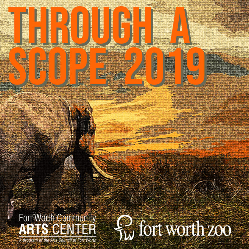 Through a Scope 2019 – call for entries