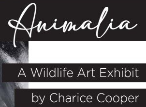 Clarice Cooper: Animalia Exhibit in Southlake