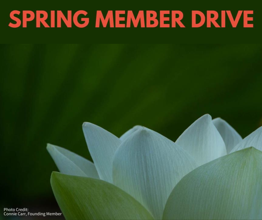 Dallas Center for Photography Spring Member Drive